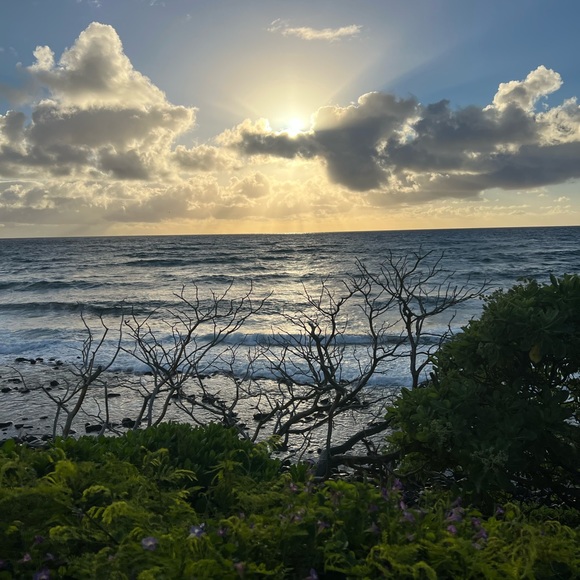 Meet your Posher G - Picture 1 of 1